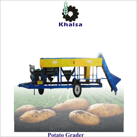 Potato Grader Potato Grader