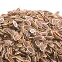 Dill Seed Oil