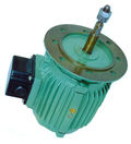 Cooling Tower Motor