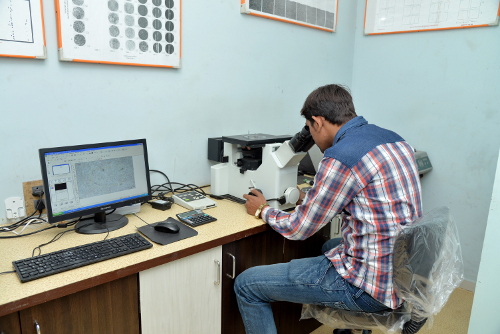 Testing Lab 03