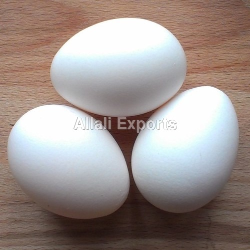 Fresh White Eggs