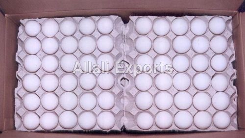Fresh White Chicken Eggs