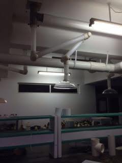 Spot Extractor System Spot Extractor System