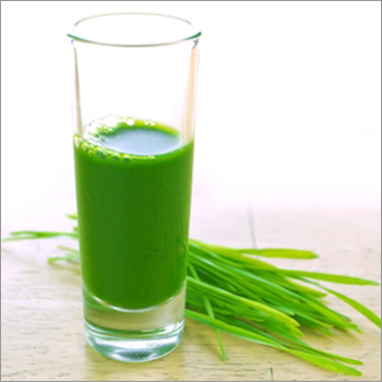 Wheatgrass Juice
