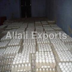 Farm Fresh Eggs