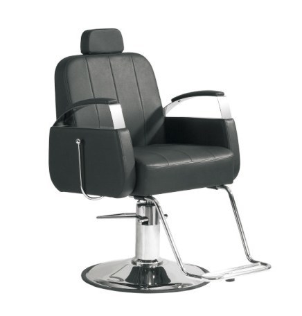 Salon Chair