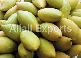 Totapuri Mango