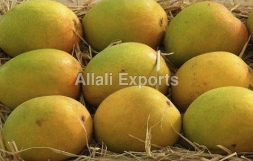 Alphonso Mango