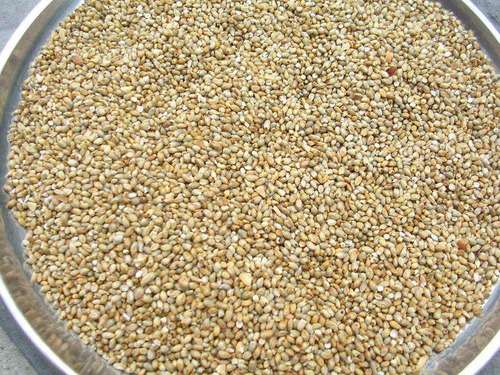 BAJRA WHOLE