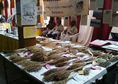 Lac Processing