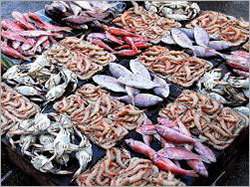 Sea Food