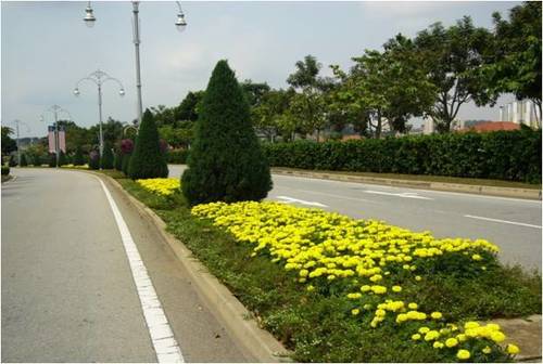 Landscaping of Road