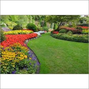Lawn Landscaping Services