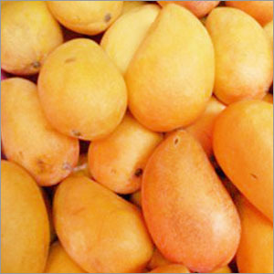 Organic Mango
