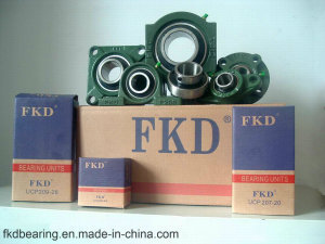 FKD Pillow Block Bearings.