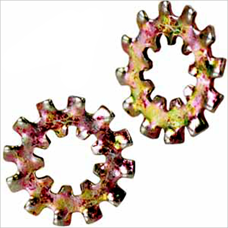 External Tooth Lock Washers