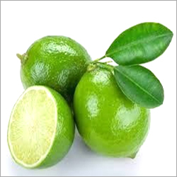 Lime Essential Oil