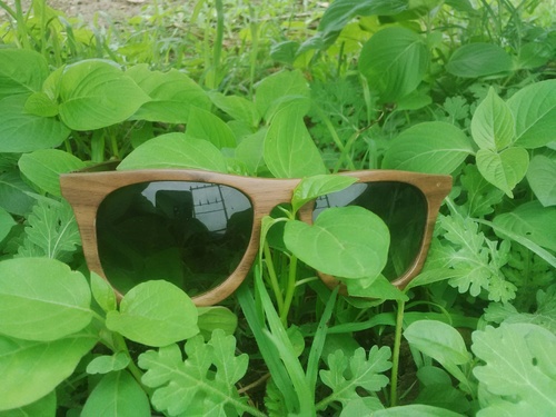 Wood Frame Sunglasses