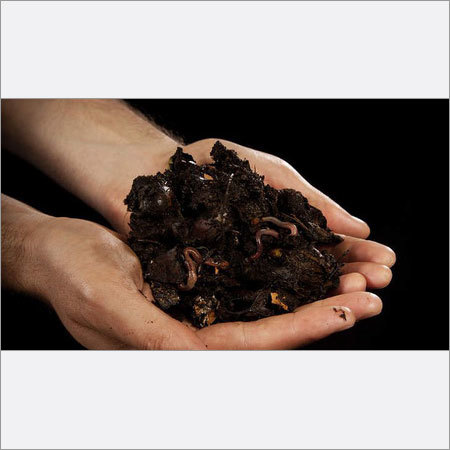 Organic Manure
