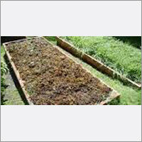 Green Manure