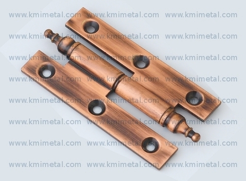 Brass Reflect Hinges