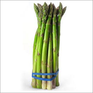 Asparagus Seedlings