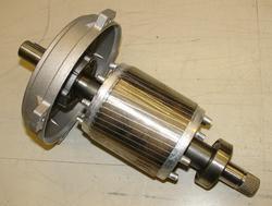 Squirrel Cage Induction Motor