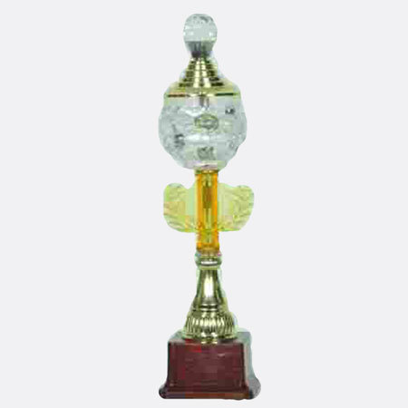 Silver Trophy