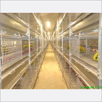 Broiler Battery Cage