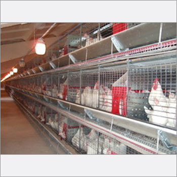 Automated Battery Cage System