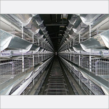 Layer Battery Cages