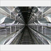 Accuracy Layer Battery Cages