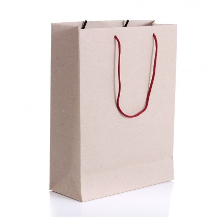 Paper Bag