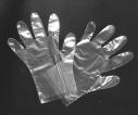 Plastic Disposable Gloves