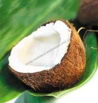 Coconut Flavour