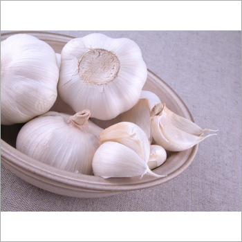 Fresh Garlic