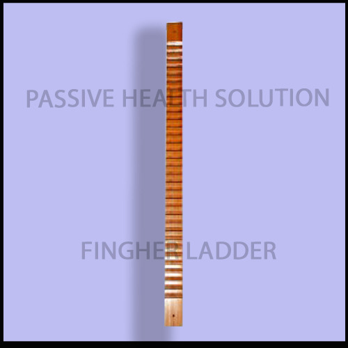 Finger Ladder Bar