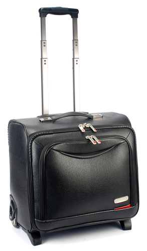 Leather Bags