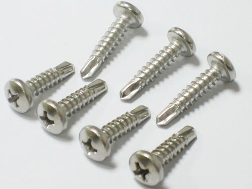 Stainless Steel Screw