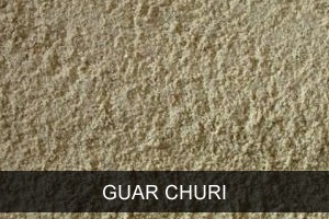 Cattle Feed Supplements