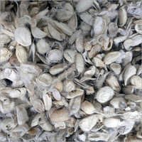 Silk Boiled Off Cocoons