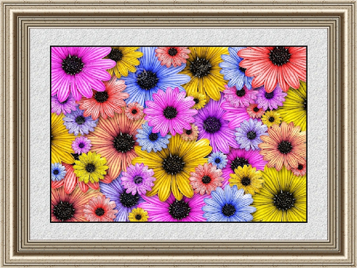 Bright Color Paintings