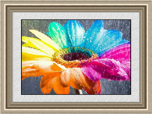 Bright Colour Paintings 0007