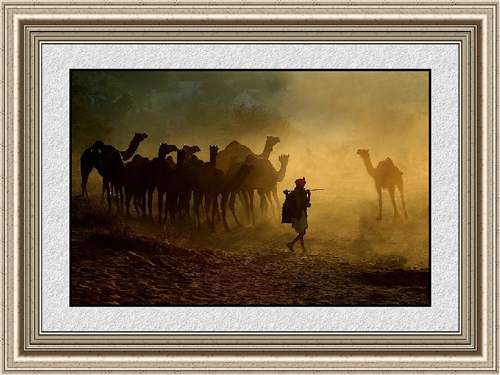 Wall Decor Canvas Art