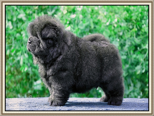 Big Size Poster 0001