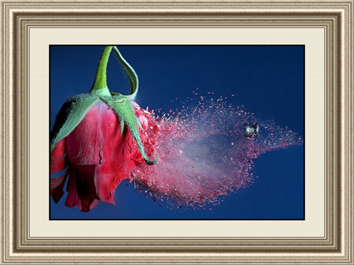 Rose Oil Painting On Canvas