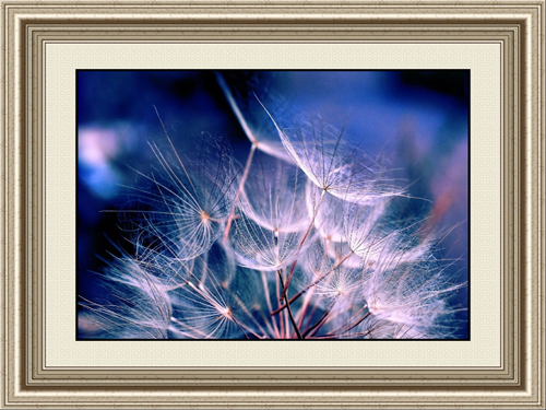 Flower Painting