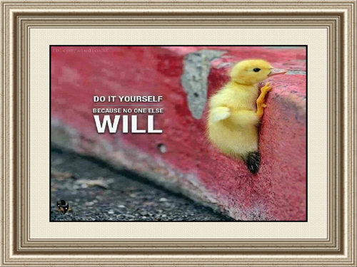 Quotations Paintings