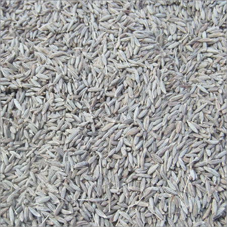Cumin Seed