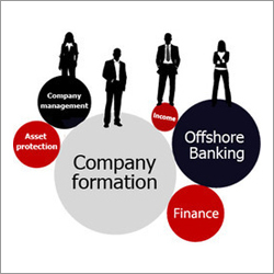 Company Formation Consultant